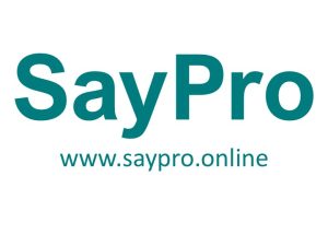 SayPro Logo