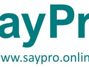 SayPro Logo - Half